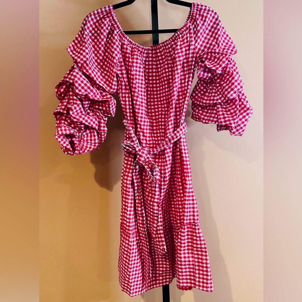 NWOT Who What Wear Red Gingham Mini Dress